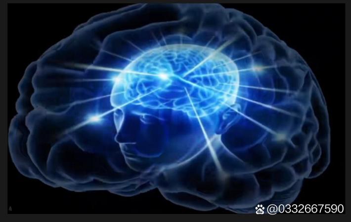 吃瓜网每日大赛 - 顶流小花深夜与神秘男子同回公寓，疑似恋情曝光